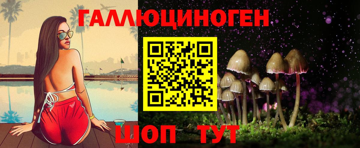 Псилоцибиновые грибы GOLDEN TEACHER Губкин